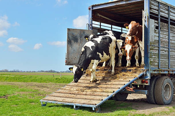 FARM Banner Image